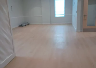 House Cleaning Service